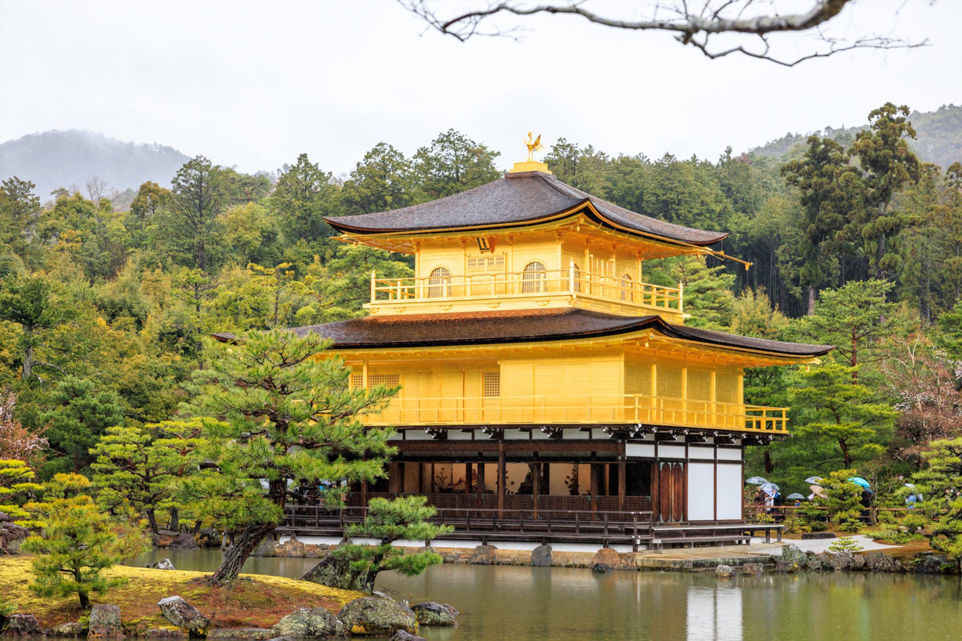 Chùa Vàng Kinkakuji - Kyoto - Nhật Bản