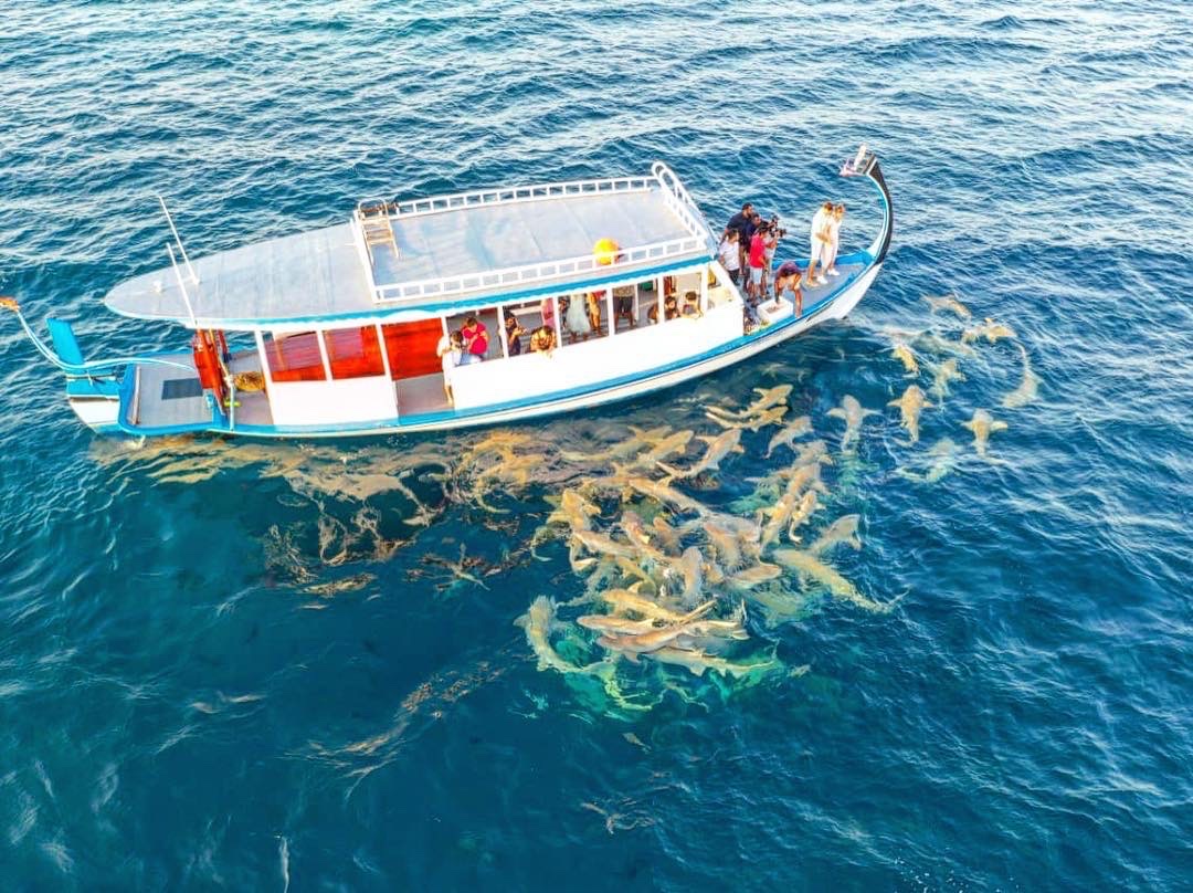 du lịch maldives