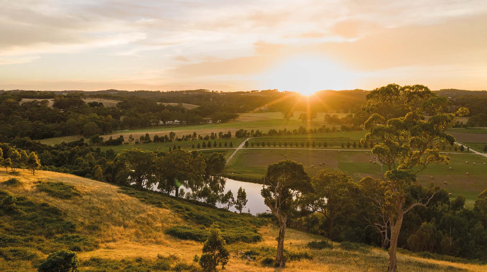 Adelaide Hills - Úc